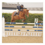Cheval au-dessus des invitations de barrière