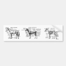 Cheval Autocollant Pour Voiture