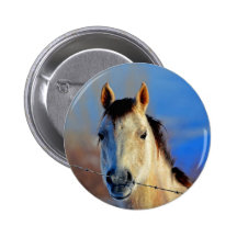 Cheval blanc badge avec épingle