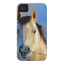 Cheval blanc coque Case-Mate iPhone 4