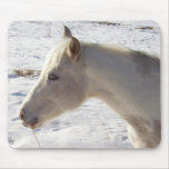 Cheval blanc dans la neige tapis de souris