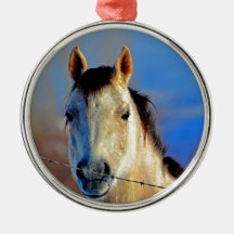 Cheval blanc décorations de noël