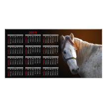 Cheval blanc regardant le calendrier en arrière photocarte customisée