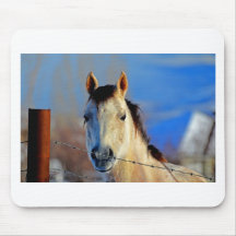 Cheval blanc tapis de souris
