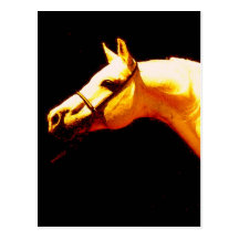 Cheval Carte Postale