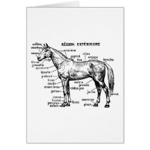 Cheval Cartes