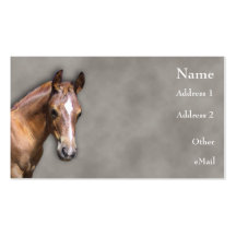 Cheval Cartes De Visite Personnelles