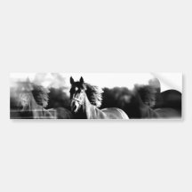 Cheval courant de B&W Autocollants Pour Voiture