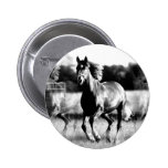 Cheval courant de B&W Pin's