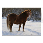 Cheval dans la carte de Noël de neige