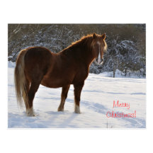 Cheval dans la carte postale de Noël de neige