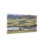 Cheval dans un paysage français impressions sur toile