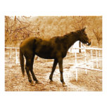 Cheval d'art de bruit de Sephia Invitations