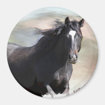 Cheval de baie aimants