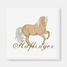 Cheval de Haflinger Aimant