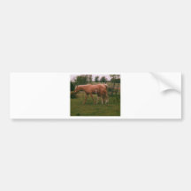 Cheval de Moma et cheval de bébé Adhésif Pour Voiture