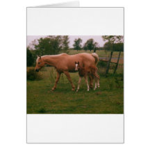 Cheval de Moma et cheval de bébé Carte De Vœux