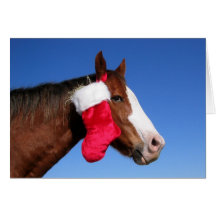 Cheval de Noël Cartes De Vœux