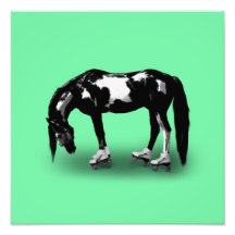 Cheval de patineur photographies