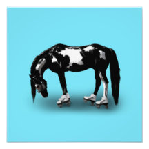 Cheval de patineur  tirage photo