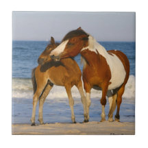 Cheval de plage de coucher du soleil carreaux
