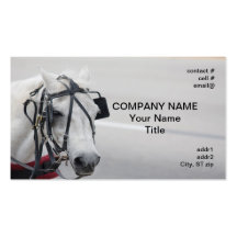 cheval de visite de streetside cartes de visite professionnelles