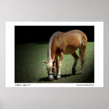 Cheval d'or posters