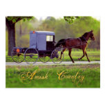 Cheval et avec des erreurs amish, Lancaster, PA Carte Postale