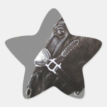 Cheval et papillon adhésifs