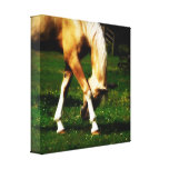 Cheval gracieux de palomino toile tendue