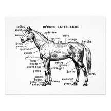 Cheval Invitations