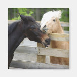 Cheval Lovin Magnets Pour Réfrigérateur