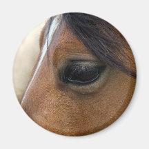 Cheval Magnets Pour Réfrigérateur
