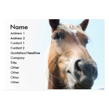 Cheval Modèle De Carte De Visite