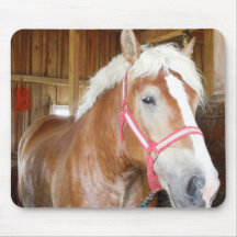 Cheval Mousepad Tapis De Souris