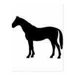 cheval noir - chevaux cartes postales