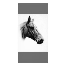 Cheval noir et blanc cartes avec photo