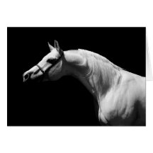 Cheval noir et blanc cartes de vœux