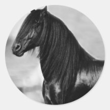 Cheval noir frison fier d'étalon autocollants ronds