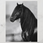 Cheval noir frison fier d'étalon prospectus