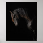 Cheval noir posters