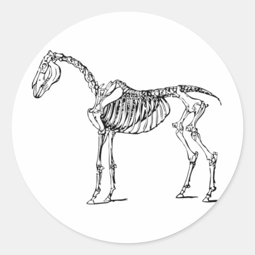 Cheval osseux autocollant rond