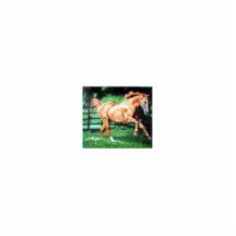 CHEVAL PHOTO EN RELIEF
