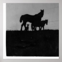 Cheval/poney/agneau au crépuscule poster