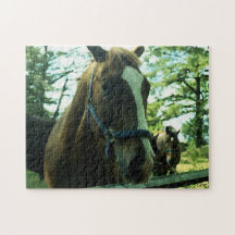 Cheval Puzzle