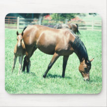 Chevaux 123 Mousepad Tapis De Souris