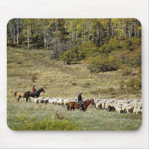 Chevaux 127 Mousepad Tapis De Souris