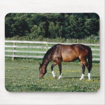 Chevaux 168 Mousepad Tapis De Souris