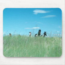 Chevaux 171 Mousepad Tapis De Souris