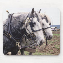 Chevaux 176 Mousepad Tapis De Souris